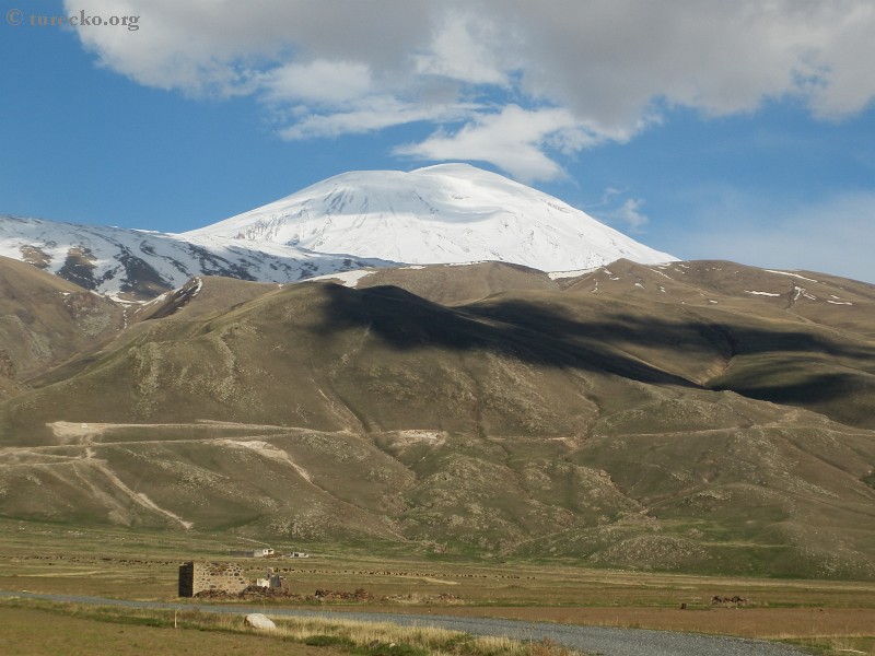 Ararat
