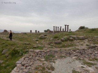 assos-41150