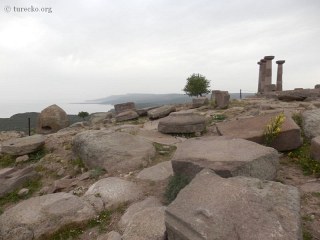 assos-41153