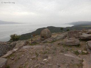 assos-41154
