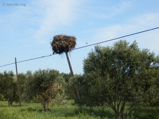 nejzapadnejsi-asie-31010-capi