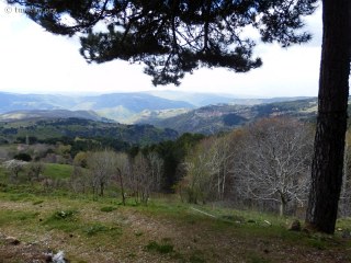 uludag-80274